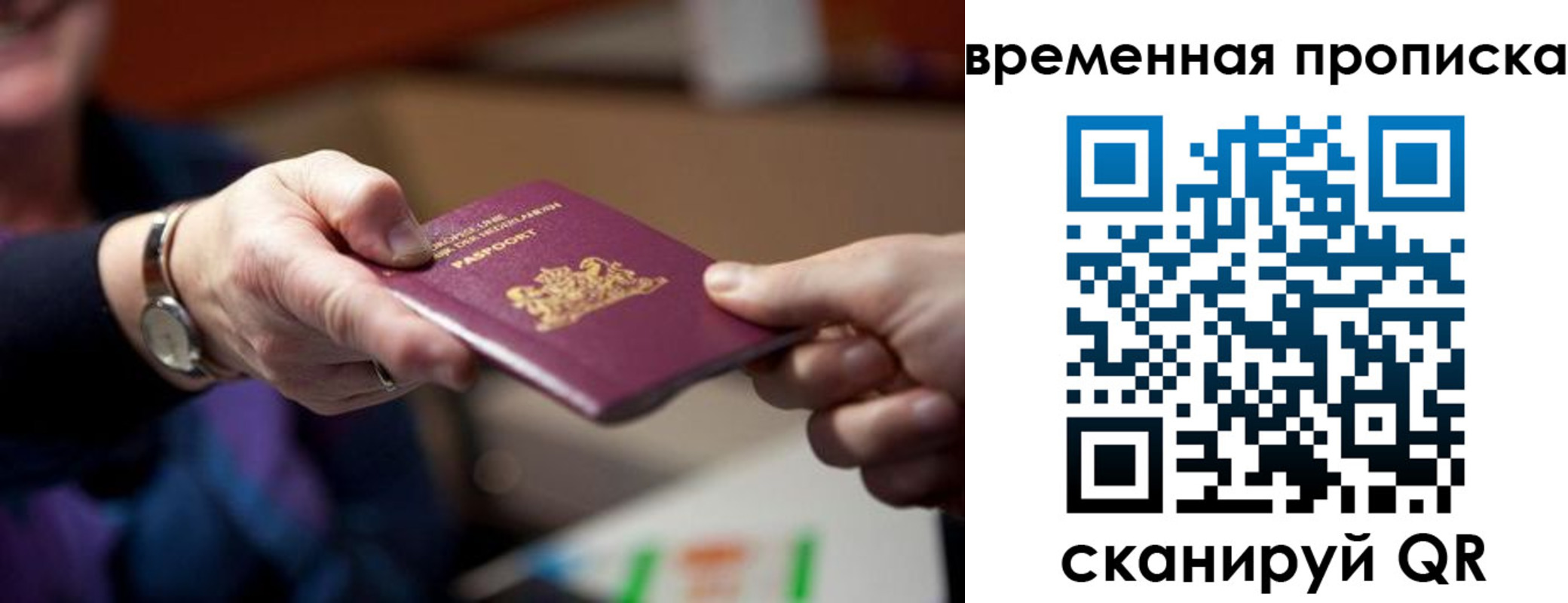 временная регистрация для всех в Фрязино